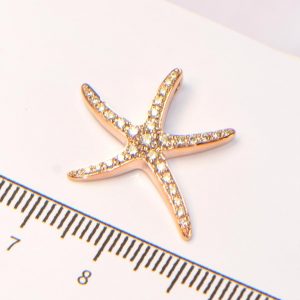 Diamant Anhänger Roségold Seestern 5
