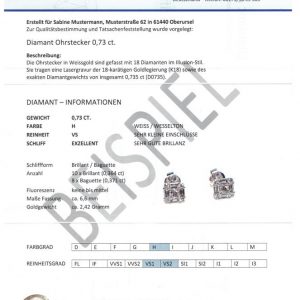 Diamant Schmuck Zertifikat Expertise Gutachen Muster4