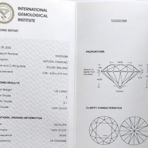 Einkaräter 1.02 E SI1 IGI Eye Clean