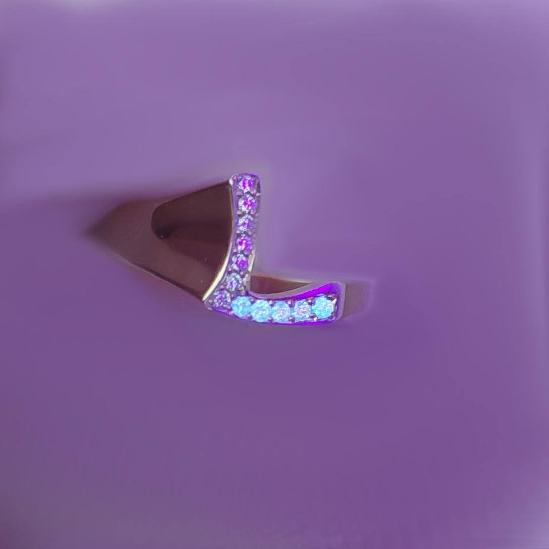 Lichtberg Ring L Fluoreszenz - Header Web