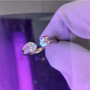 Lichtberg Diamantring Doppel Herz1