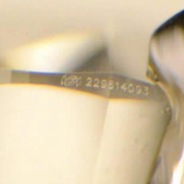 Lasergravur Zertifikat herunterladen