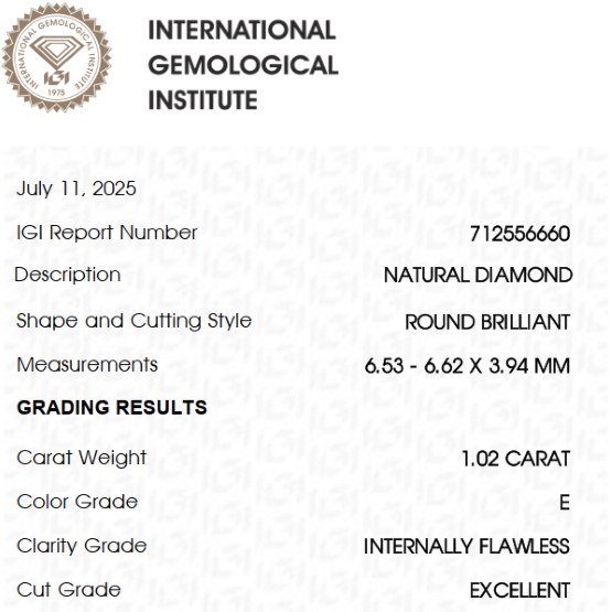 igi certificate beispiel Zertifikat_web