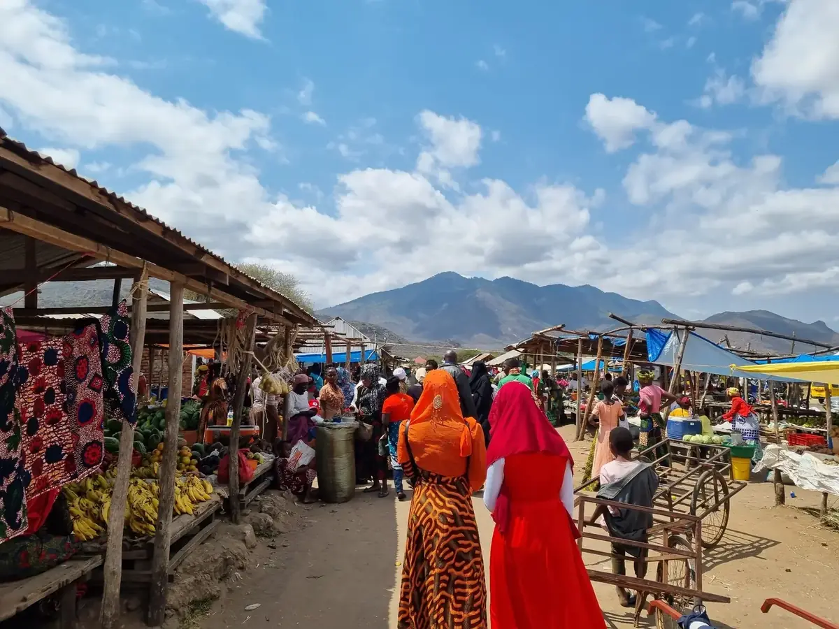 Markt in Tansania vor einer Bergkulisse